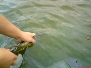 DSC00011.JPG