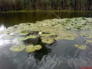 DSC00922.JPG