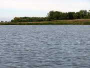 IMG_0398.jpg