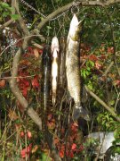 IMG_0399.jpg