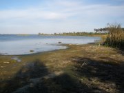 Ушла вода.jpg