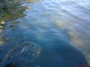 109_DSC00092.JPG