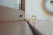 DSCF8245.jpg