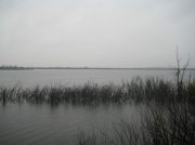 IMG_0395.jpg