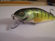 IMG_1991.jpg