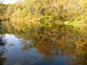 IMG_0432.jpg
