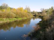 IMG_0439.jpg
