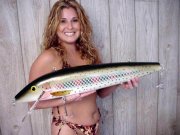 fishing%20lure.jpg