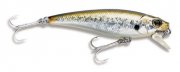 RipnMinnow65.jpg