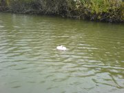 DSC02925.JPG