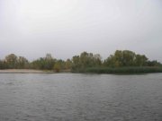 IMG_9153_1.JPG
