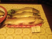 Photo-0183.jpg