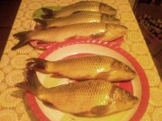 Photo-0185.jpg