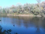 DSC00994.JPG