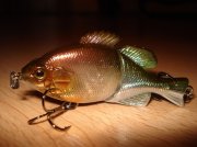 DSC04756.jpg