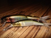 DSC04749.jpg