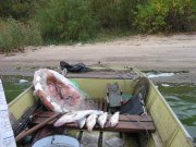 IMG_9166_1.JPG