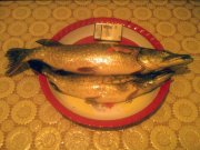 Photo-0197.jpg