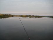 IMG_0414.jpg