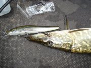 DSC04802.jpg