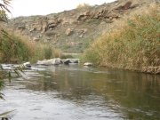 PA210013.JPG