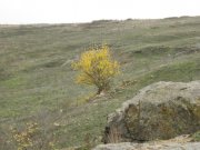 PA210009.JPG