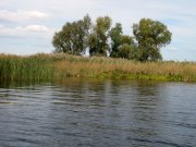 IMG_0413.jpg
