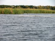 IMG_0414.jpg