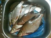 25102009021.jpg