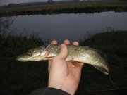 IMG_5177.jpg