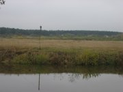 IMG_5185.jpg