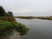 IMG_5182.jpg