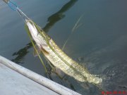 DSC00244.JPG