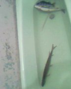 Photo-0143.jpg