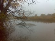 28102009885.jpg