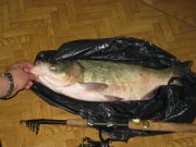 IMAGE00001.jpg