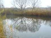 DSC02960.JPG