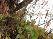 IMG_0766.jpg