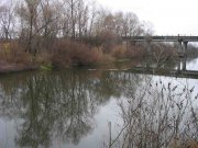 IMG_9228_1.JPG
