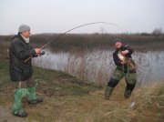 IMG_0450.jpg