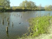 DSC00017.jpg