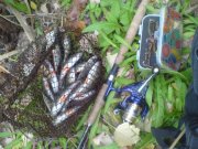 DSC00028.jpg