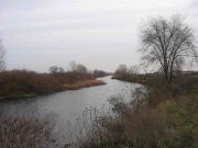 IMG_9264_1.JPG