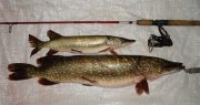 DSC07333.jpg