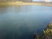 DSC02978.JPG