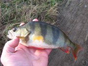 IMG_9305_1.JPG