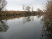 рыбалка орель микроджиг 15 ноября 2009 021.jpg
