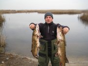 IMG_0480.jpg