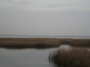 IMG_0484.jpg
