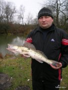 Дома 019.jpg